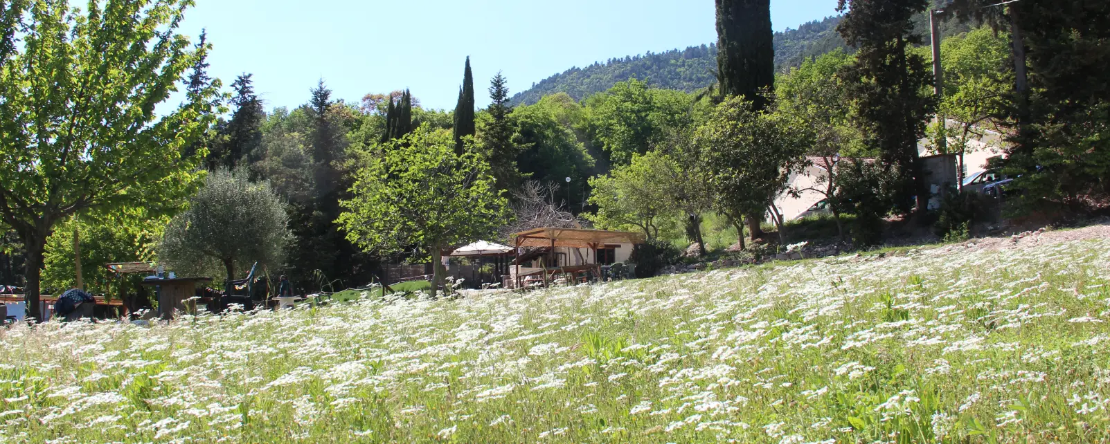 Chiosco Bartulìn